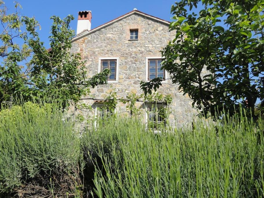 A Lovely House In Vipava Valley Eksteriør billede