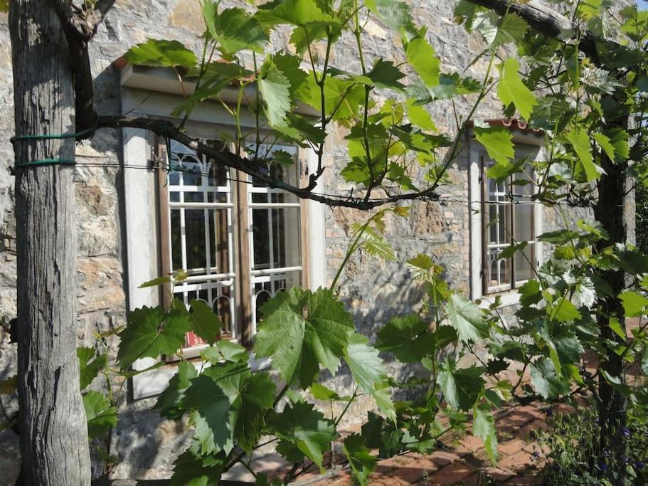 A Lovely House In Vipava Valley Eksteriør billede